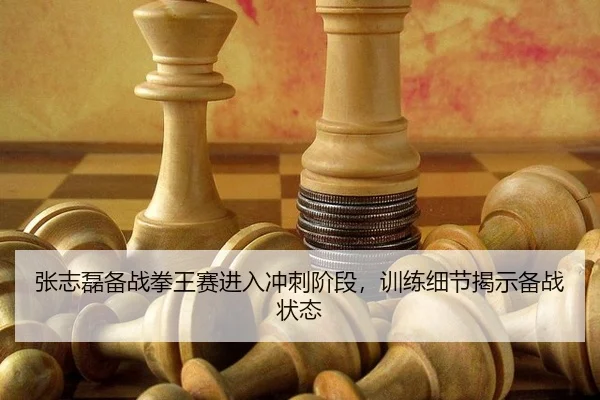 zhang-zhi-lei-bei-zhan-quan-wang-sai-jin-ru-chong-ci-jie-duan-xun-lian-xi-jie-jie-shi-bei-zhan-zhuang-tai-2-414.jpg