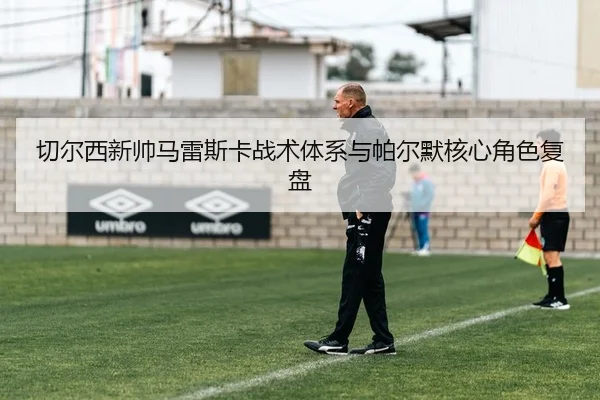 切尔西新帅马雷斯卡战术体系与帕尔默核心角色复盘